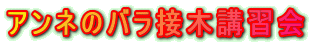 アンネのバラ接木講習会